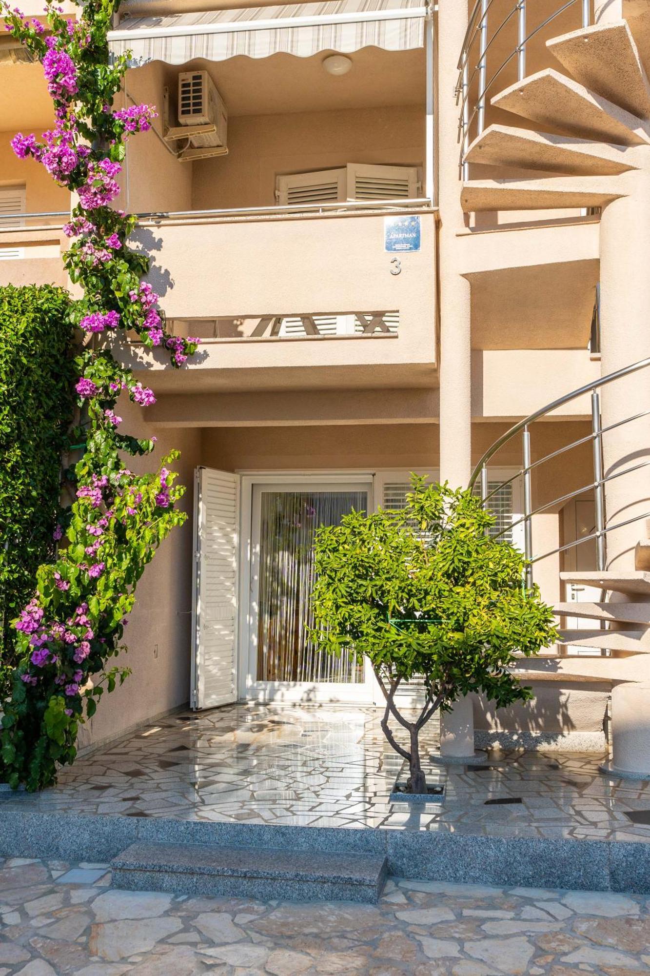 Apartments Cvetka Novalja Exterior foto